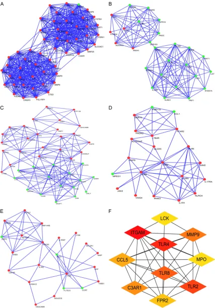 Figure 4. Modules and hub genes screened from the PPI network. A. Cluster 1. B. Cluster 2