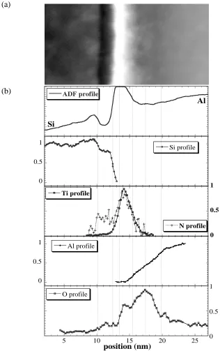 Figure 3.18: An ADF cross-sectional image of the gate-stack capacitor that was analyzed in 