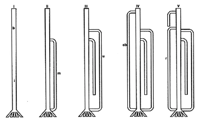 FIG.4B NEW THEORY  