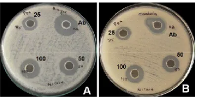 Fig, 5. Graphical representation depicting the zone of inhibition formed against selected fungal strains by different concentrations of partially purified chitinase from Trichoderma viride