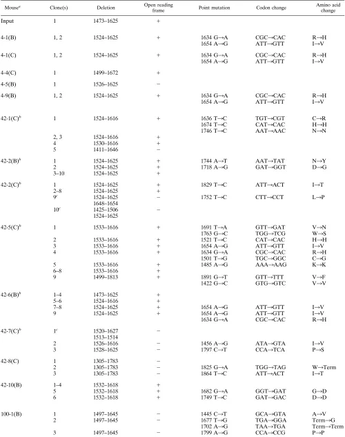 TABLE 3. Characterization of mutations and deletions detected in the S1 region of the spike during persistent MHV-JHM infection