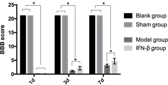 Figure 2. Comparison of the modified Tarlov scores at different time points among the four groups