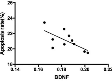 Figure 8. Correlation analysis between the expres-sion of the TrkB protein and the neuronal apoptosis rate