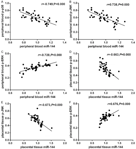 Figure 5. Correlation between miR-144 and p-p38, p-JNK proteins in pre-eclampsia patients