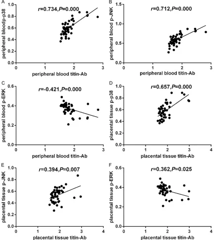 Figure 6. Correlation between titin-Ab and p-p38, p-JNK proteins in pre-eclampsia patients
