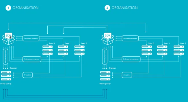 Figure 1: Hyperledger Fabric Network example [8] 