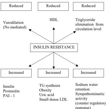 Table 3: Effects Of Insulin Resistance* 