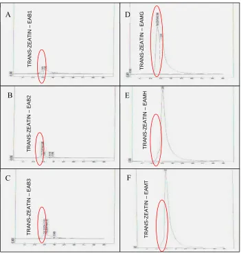 Figure 1. Chromatograms of the different extracts: (A) EAB1; (B) EAB2; (C) EAB3; (D) EAMG; (E) EAMH; (F) EAMT