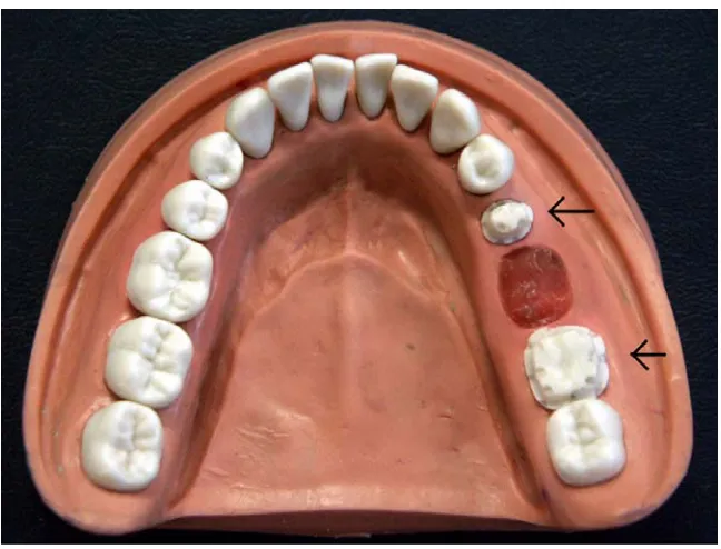 FIGURE 6   