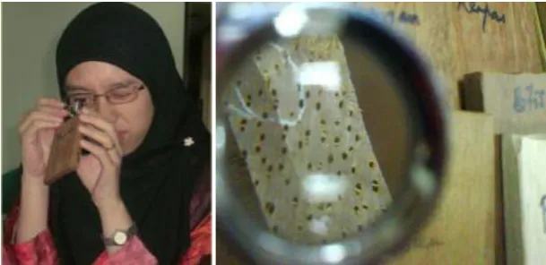 Figure 1.2 : Manual identification by human using magnifier (left) and 