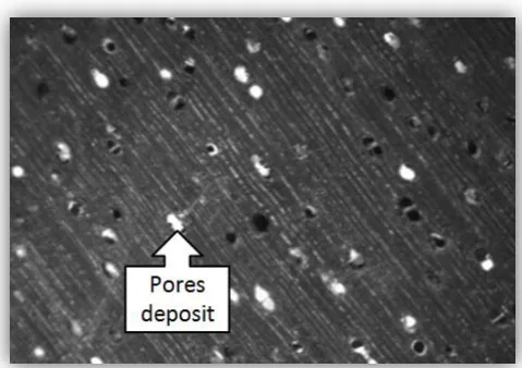 Figure 1.5 : Wood surface with low density (left) and numerous density (right) 