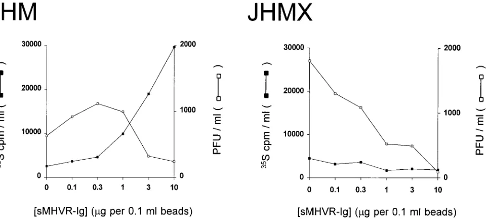FIG. 5. Electrophoretic proﬁles of virion proteins before and after virion35S-labelled virionscpm) were allowed to bind to the receptor by incubation at 4C for