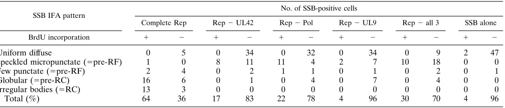 TABLE 3. Effect of removing UL42, Pol, or UL9 from the complete transfection plasmid mixturea