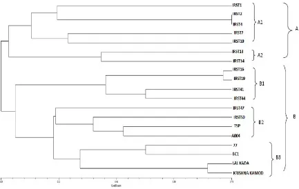 Figure 2. Dendrogram of genetic relationship among rice genotypes based on INDEL markers.