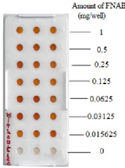 Fig. 1.4. Optimization of amount of FNAB by sunlight mediated activation