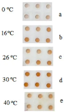 Fig. 1.8. Activation of   PPµTP by a) sunlight and b) UV