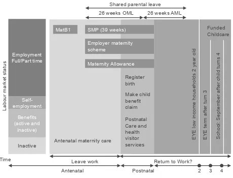 Figure 3: Timing of employment policies and interactions with government for non-adoptive parents 
