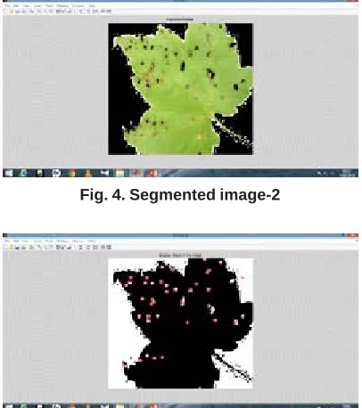 Fig. 4. Segmented image-2