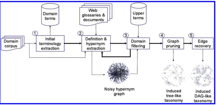 Figure 1The OntoLearn Reloaded taxonomy learning workﬂow.