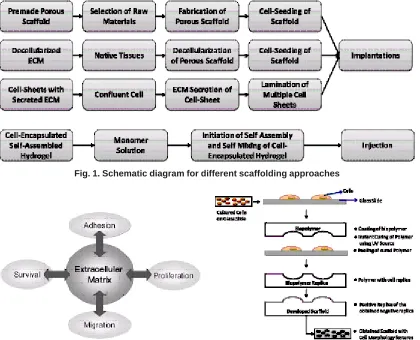 Fig. 3. Process of Scaffold Development