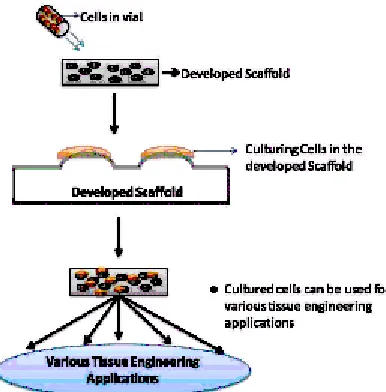 Fig. 4.  A) 2D AFM image of Scaffold developed and B) 3D AFM image of Scaffold developed