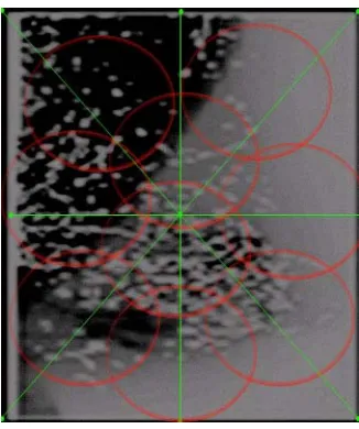 Fig. 2: Output Image after Triangulation