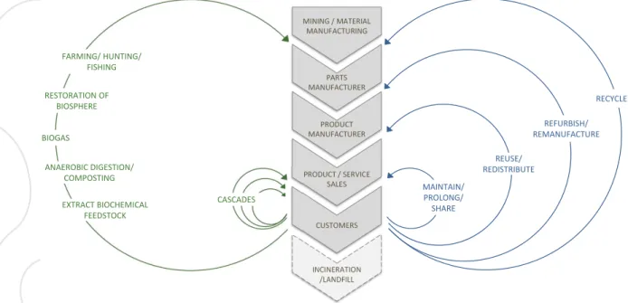 Figure 1: System diagram depicting biological (green) and technical (blue) resource loops in a CE