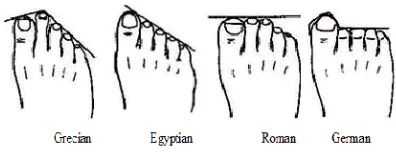 Fig. 10: Various types of foot