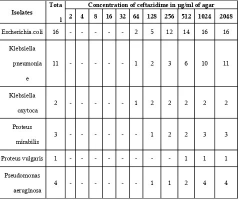 Table – 13MIC of Ceftazidime For  ESBL Producing Organisms (n =37)