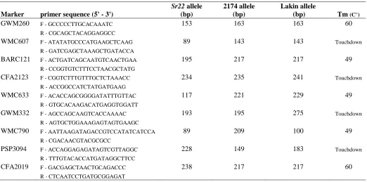 Table 1.  Markers used for linkage analysis of Sr22, primer sequences, parent allele sizes in base pairs and primer annealing temperatures (Tm) in degrees Celsius