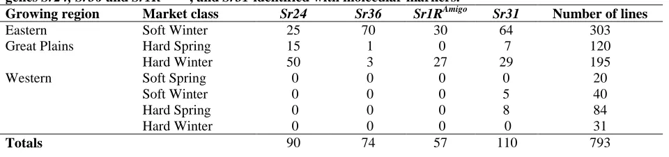 Table 1.  Number of U.S. wheat lines from different regions and market classes having stem rust resistance genes Sr24, Sr36 and Sr1RAmigo , and Sr31 identified with molecular markers