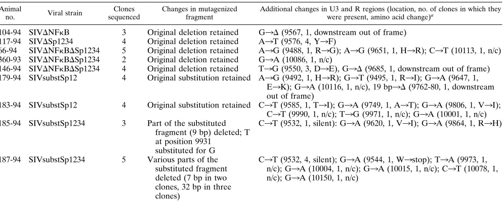 FIG. 4. Thymic histology (A to C) and SIV in situ hybridization (D to I) of infected animals