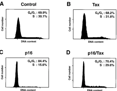 FIG. 1. Tax releases human T cells from cell cycle arrest induced by p16INK4aoverexpression