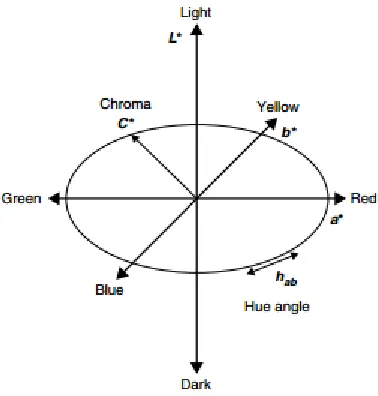 Figure 4.2 Cylindrical representation of the CIELAB color space 94. 