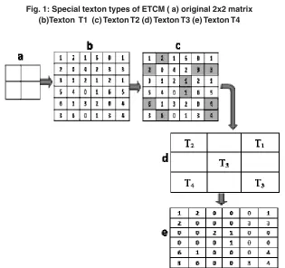 Fig. 1: Special texton types of ETCM ( a) original 2x2 matrix