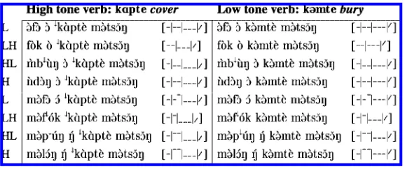 Figure 1Tone data from Bamileke Dschang, a Grassﬁelds Bantu language of Cameroon.