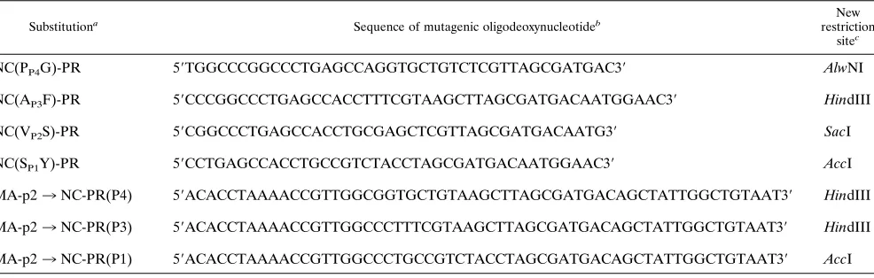 TABLE 1. Mutagenic oligodeoxynucleotides