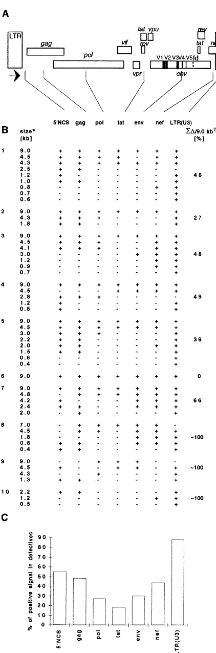 FIG. 4. Physical mapping of defective viruses from 10 HIV-1-infected per-sons (no. 1 to 10, Table 1)