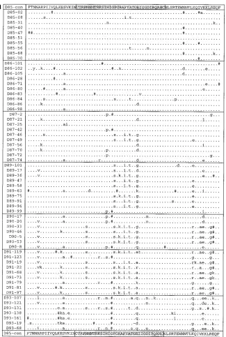 FIG. 1. The amino acid alignments of donor (a), recipient A (b), and recipient B (c) sequences are shown aligned with the consensus sequence obtained from thedonation sample in 1985 (D85-con)