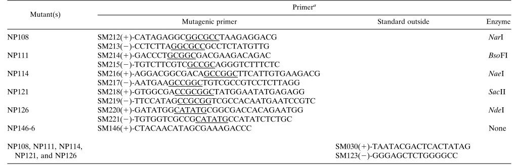 TABLE 1. Oligodeoxynucleotide primers