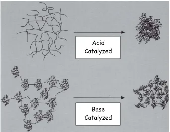 Figure was taken from Wright, Nico and Sommerdijk’s book, Sol Gel Materials: Chemistry and Figure 1-9:  Gel structures for acid and base catalyzed reactions Applications  (reference 11)