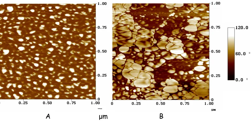 Figure 3-9:  SEM images (A) before and (B) after water immersion indicate an increase in surface roughness with the loss of TPG and glycerol 