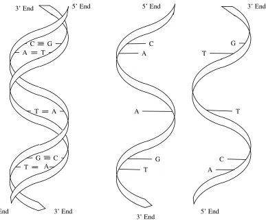 Figure 1.4  