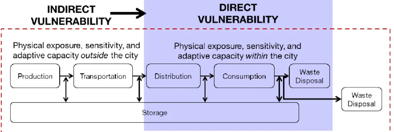 Figure 1. Conceptualizing indirect vulnerability in the context of supply chains 