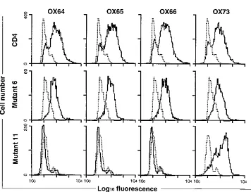 FIG. 2. Epitope mapping of D1- and D2-directed MAbs. Fluorescence-activated cell sorter histograms of MAb tissue culture supernatants binding to COS cellstransfected with the mutants of CD4 are shown, with dotted lines showing staining with the negative co