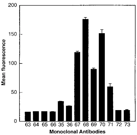 FIG. 7. Formation of ternary complexes between sm6 anti-rat CD4 MAbsand oligomeric Env on the surface of chronically HIV-infected H9 cells