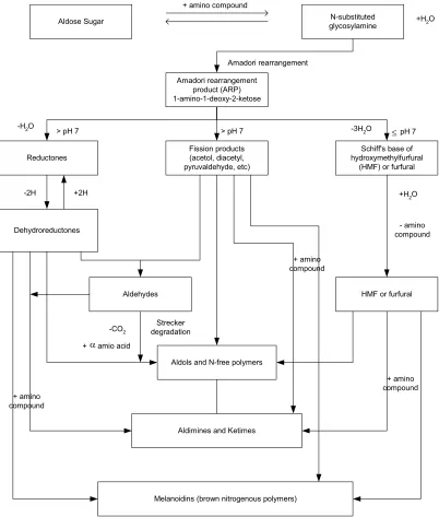 Figure 2.10.  Maillard reaction scheme (redrawn from Hodge 1953; Martins and 