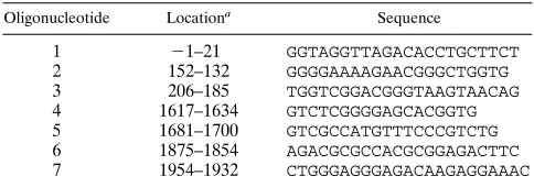 TABLE 1. Nucleotide sequences and genomic locations ofoligonucleotides used in this study