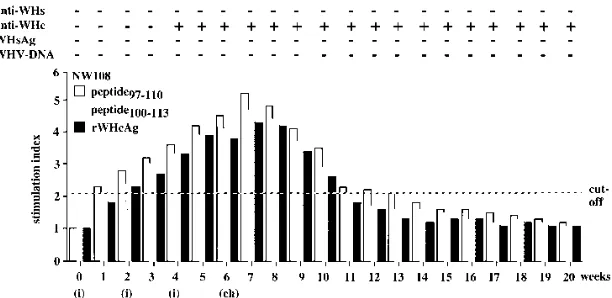 FIG. 9. Humoral and cellular response kinetics of woodchuck NW108 to peptideafter challenge with 1097–110, peptide100–113, and rWHcAg during immunization with rWHcAg (i) and5 woodchuck ID (ch)