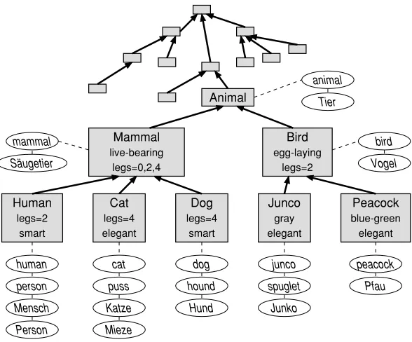 Figure 4A simplistic hierarchy of conceptual schemata with connections to their lexical entries for